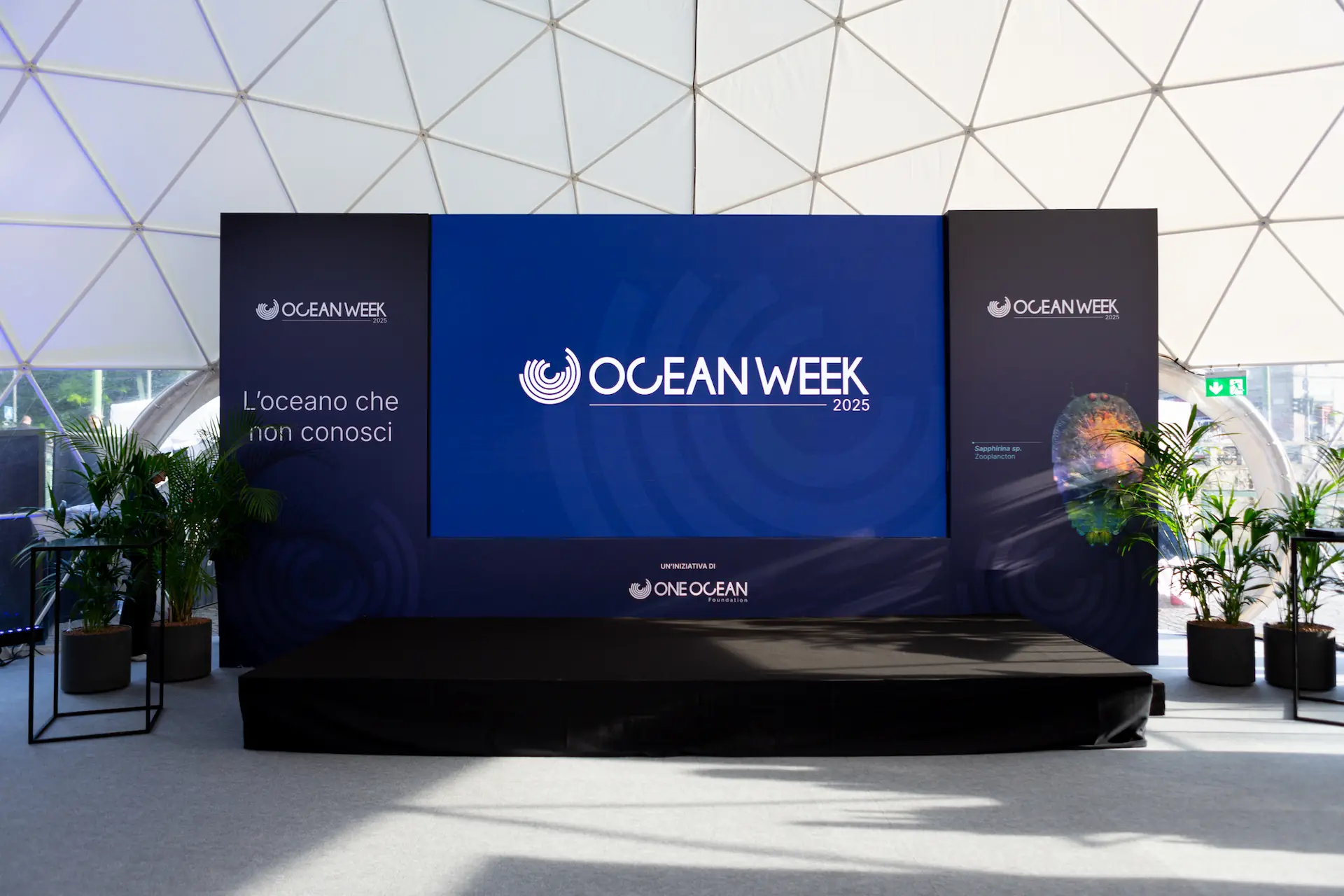 One Ocean Week image