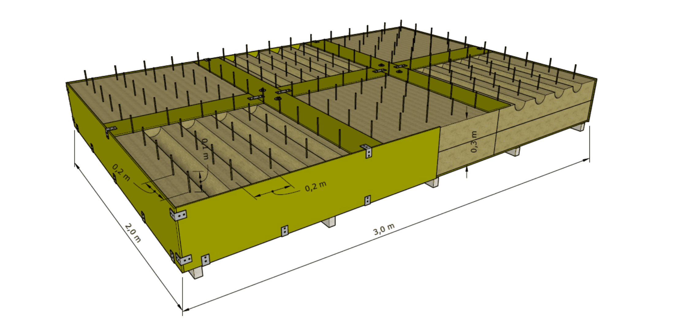 The project image