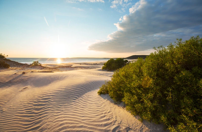 Coastal Protection Cover Image